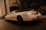 Limuzinu nuoma   10. LINCOLN TOWN CAR  
    
 14 seats  
 Elegant Lincoln Town Car attracts the attention of the surrounding people by its classical shape of the body and its white colour. 